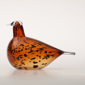 Birds Pekkasiini コッパーブラウン 0118