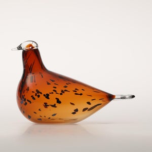 Birds Pekkasiini コッパーブラウン 0119