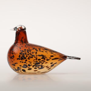 Birds Pekkasiini コッパーブラウン 0120