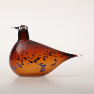 Birds Pekkasiini コッパーブラウン 0121