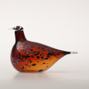 Birds Pekkasiini コッパーブラウン 0122