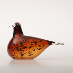 Birds Pekkasiini コッパーブラウン 0124