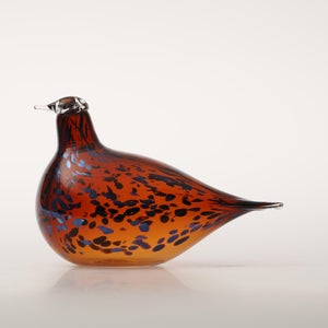 Birds Pekkasiini コッパーブラウン 0126