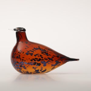 Birds Pekkasiini コッパーブラウン 0128