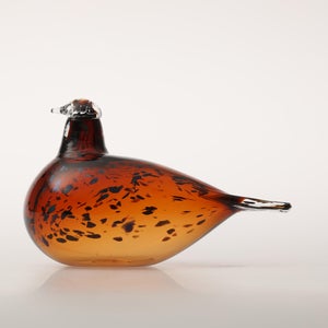 Birds Pekkasiini コッパーブラウン 0129