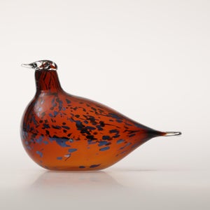 Birds Pekkasiini コッパーブラウン 0130