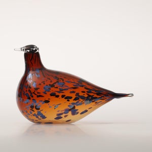 Birds Pekkasiini コッパーブラウン 0131