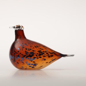 Birds Pekkasiini コッパーブラウン 0133