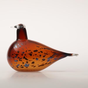 Birds Pekkasiini コッパーブラウン 0134