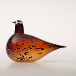 Birds Pekkasiini コッパーブラウン 0136