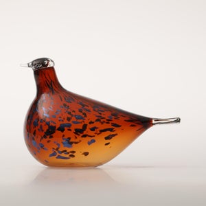 Birds Pekkasiini コッパーブラウン 0137