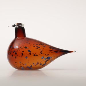 Birds Pekkasiini コッパーブラウン 0138