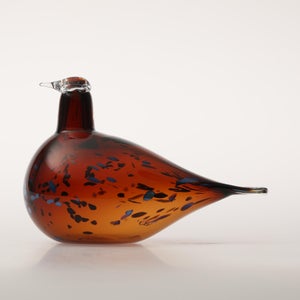 Birds Pekkasiini コッパーブラウン 0139