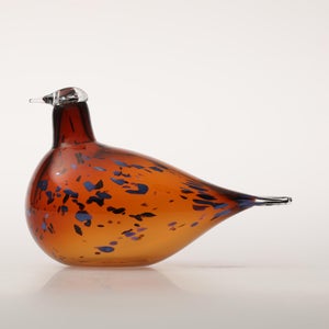 Birds Pekkasiini コッパーブラウン 0140