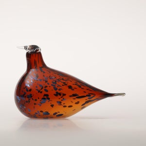 Birds Pekkasiini コッパーブラウン 0141