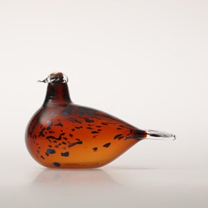 Birds Pekkasiini コッパーブラウン 0142