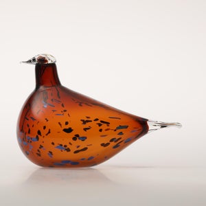 Birds Pekkasiini コッパーブラウン 0143