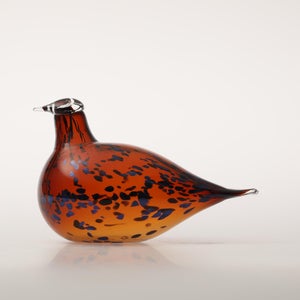 Birds Pekkasiini コッパーブラウン 0144