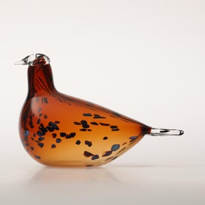 Birds Pekkasiini コッパーブラウン 0145