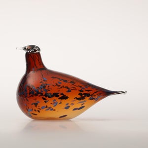 Birds Pekkasiini コッパーブラウン 0146