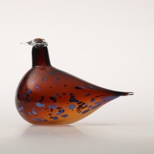 Birds Pekkasiini コッパーブラウン 0147