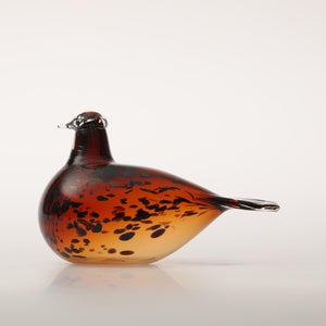 Birds Pekkasiini コッパーブラウン 0148