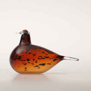 Birds Pekkasiini コッパーブラウン 0149