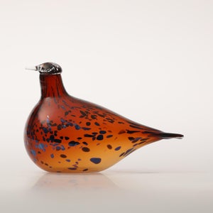 Birds Pekkasiini コッパーブラウン 0150