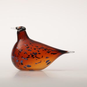 Birds Pekkasiini コッパーブラウン 0152