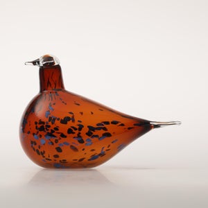 Birds Pekkasiini コッパーブラウン 0153