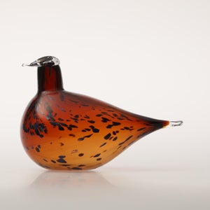 Birds Pekkasiini コッパーブラウン 0154