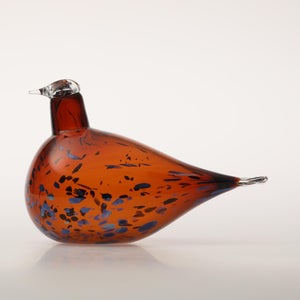 Birds Pekkasiini コッパーブラウン 0155