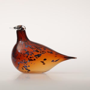 Birds Pekkasiini コッパーブラウン 0156