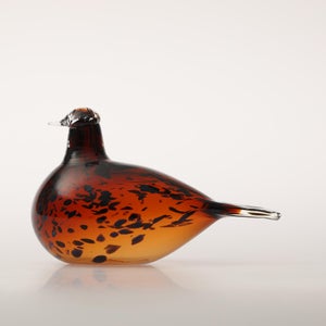 Birds Pekkasiini コッパーブラウン 0157