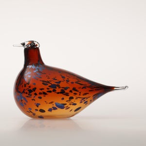 Birds Pekkasiini コッパーブラウン 0158