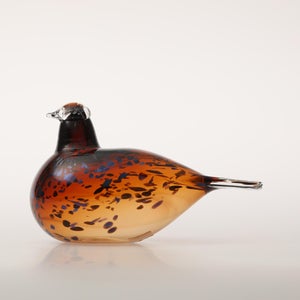 Birds Pekkasiini コッパーブラウン 0160