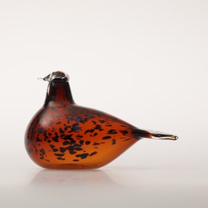 Birds Pekkasiini コッパーブラウン 0161