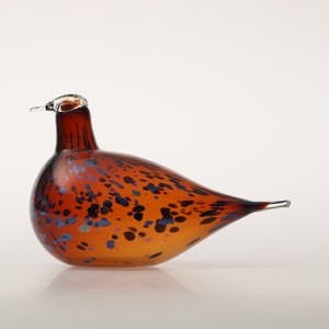 Birds Pekkasiini コッパーブラウン 0162