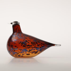 Birds Pekkasiini コッパーブラウン 0163