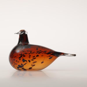 Birds Pekkasiini コッパーブラウン 0164