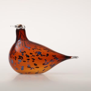 Birds Pekkasiini コッパーブラウン 0165