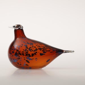 Birds Pekkasiini コッパーブラウン 0166