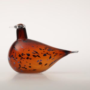 Birds Pekkasiini コッパーブラウン 0168