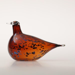 Birds Pekkasiini コッパーブラウン 0169