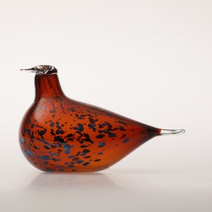 Birds Pekkasiini コッパーブラウン 0170