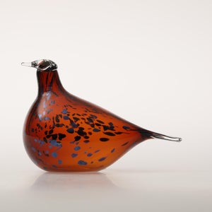 Birds Pekkasiini コッパーブラウン 0172