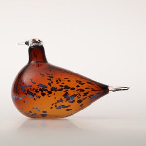 Birds Pekkasiini コッパーブラウン 0173