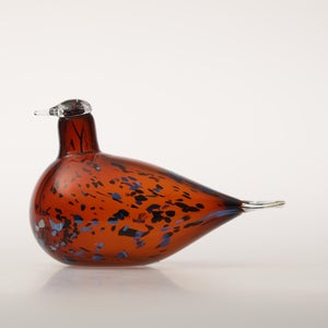 Birds Pekkasiini コッパーブラウン 0174