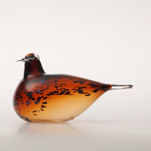 Birds Pekkasiini コッパーブラウン 0175