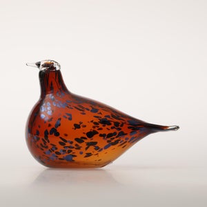 Birds Pekkasiini コッパーブラウン 0176